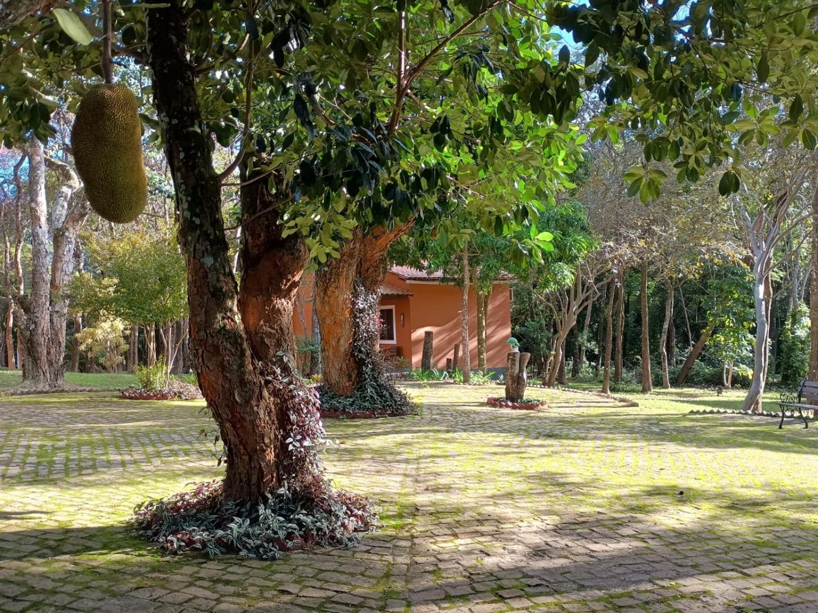 Villaflor Pousada Vale do Capao Exteriér fotografie